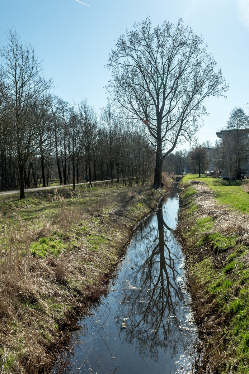 260318-001.jpg