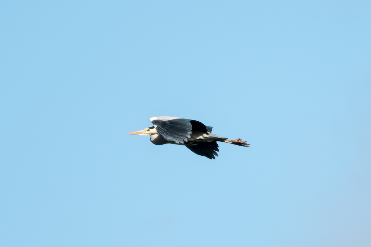 260329-011.jpg