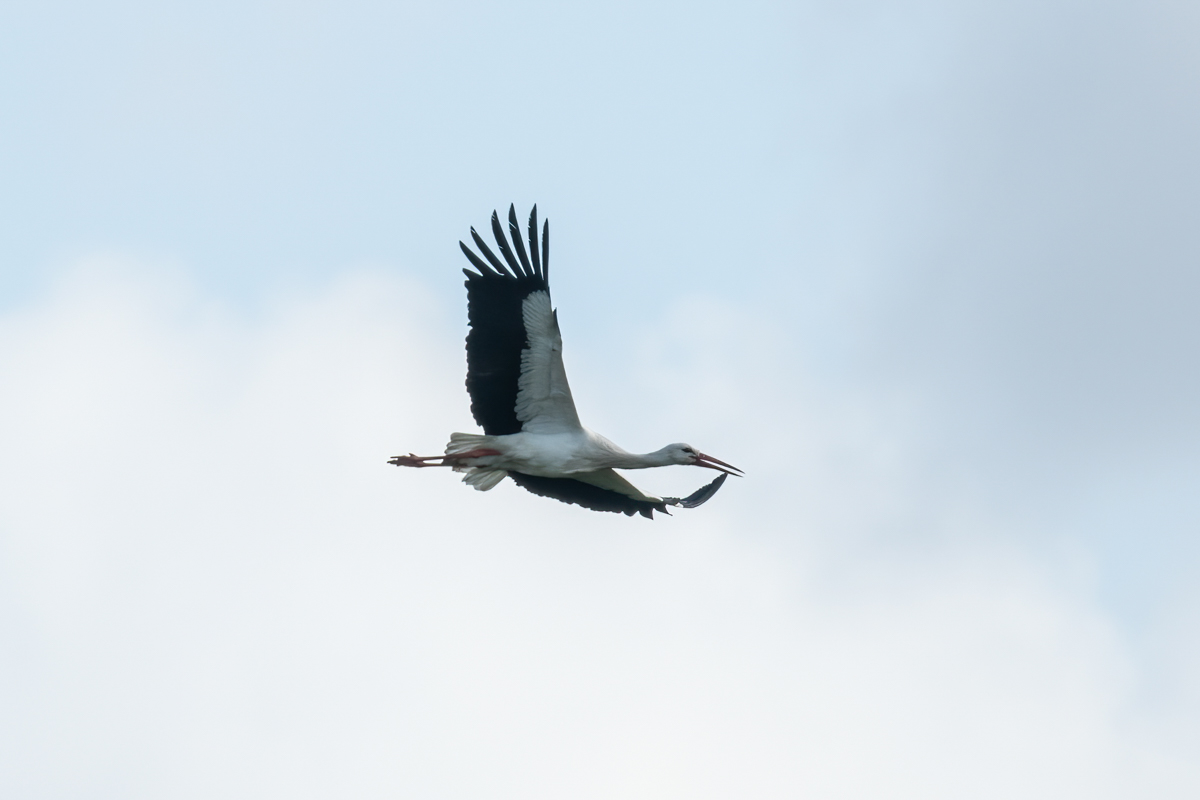 260329-014.jpg
