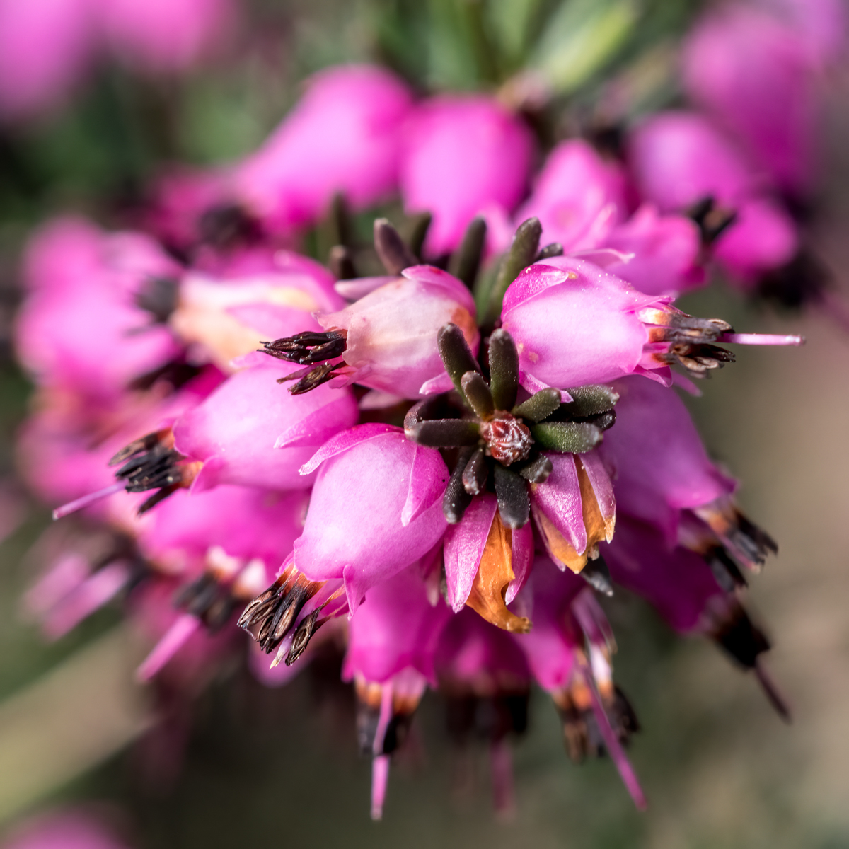 260416-002-2.jpg