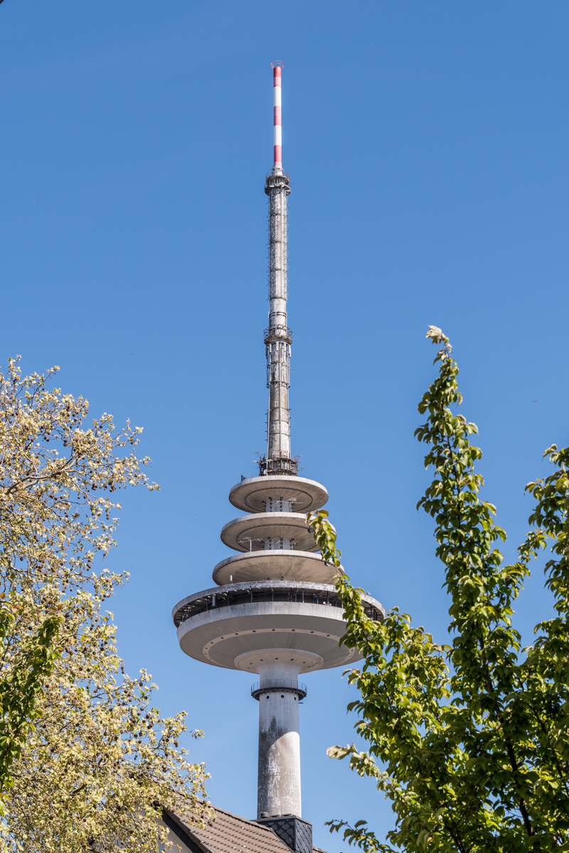 260430-022.jpg