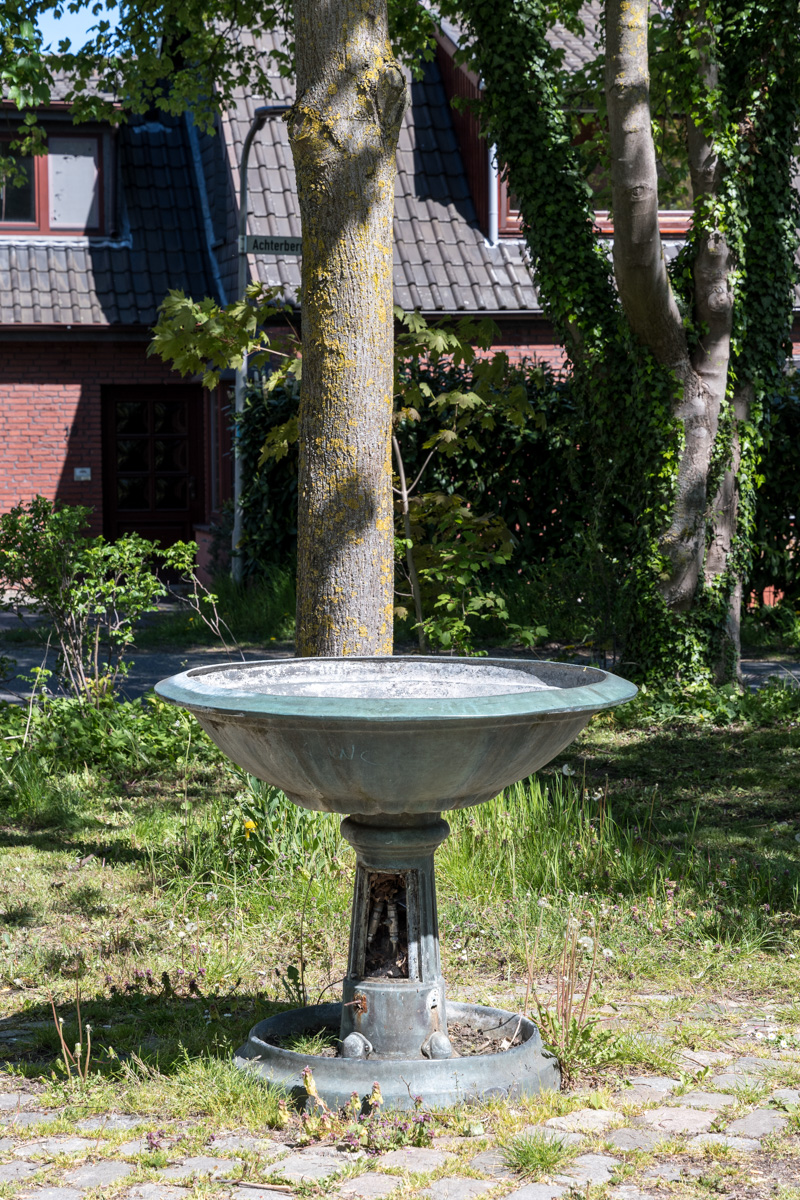 260430-023.jpg