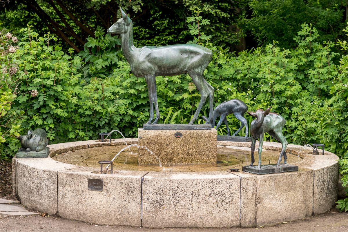 260521-D50_8760-Bearbeitet.jpg