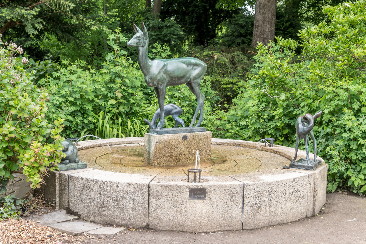 260521-D50_8770-Bearbeitet.jpg