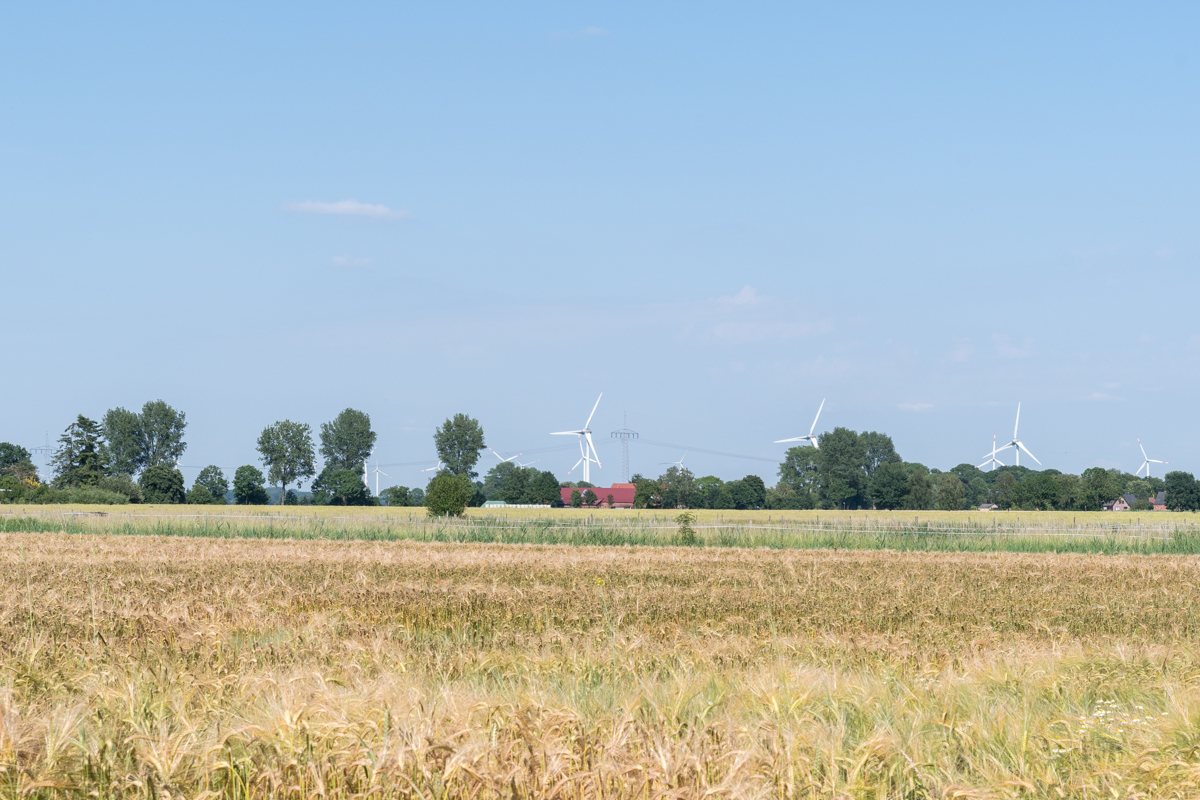 260620-D50_8826.jpg