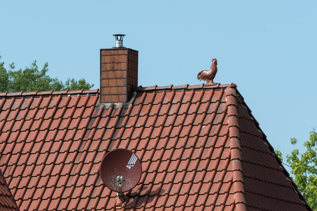 260620-D50_8922.jpg