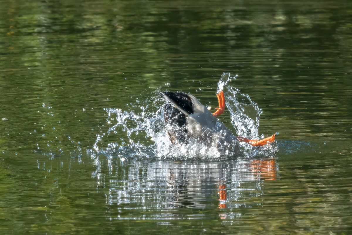 260930-D50_8934-Bearbeitet.jpg