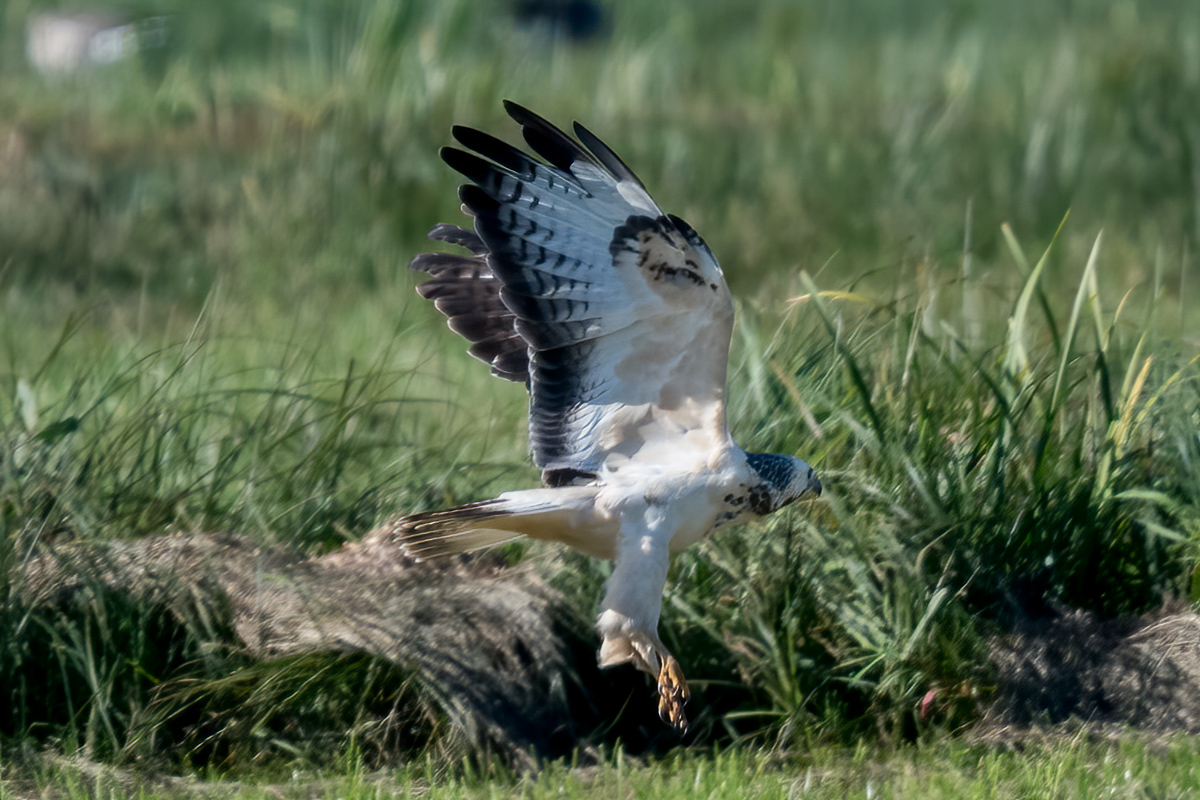 260930-D50_8967-Bearbeitet.jpg
