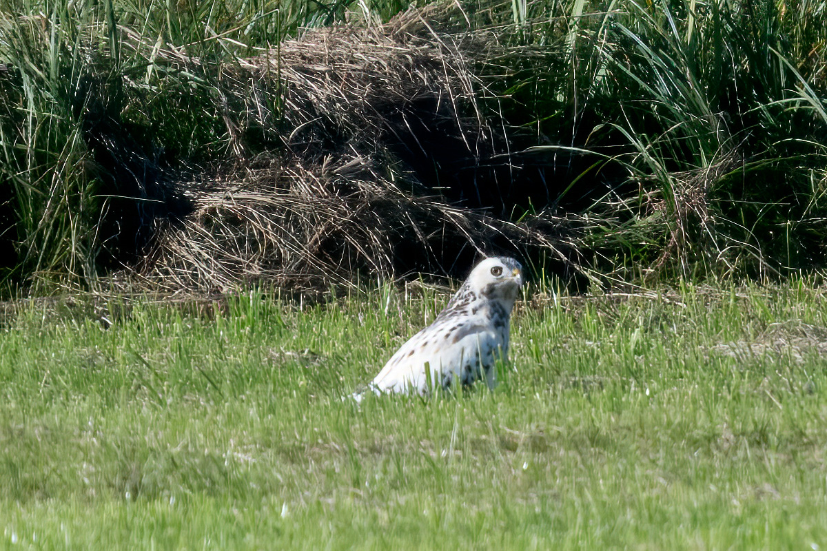 260930-D50_8982-Bearbeitet.jpg