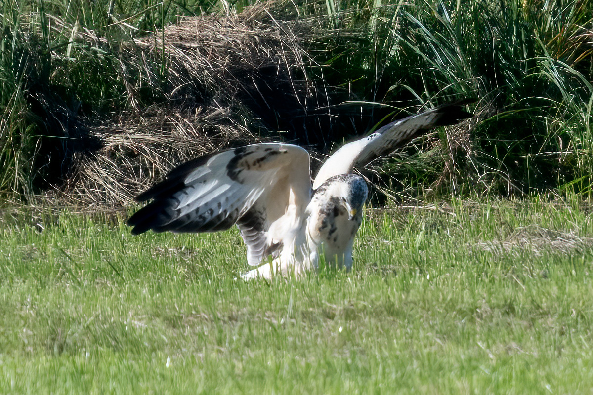 260930-D50_8991-Bearbeitet.jpg