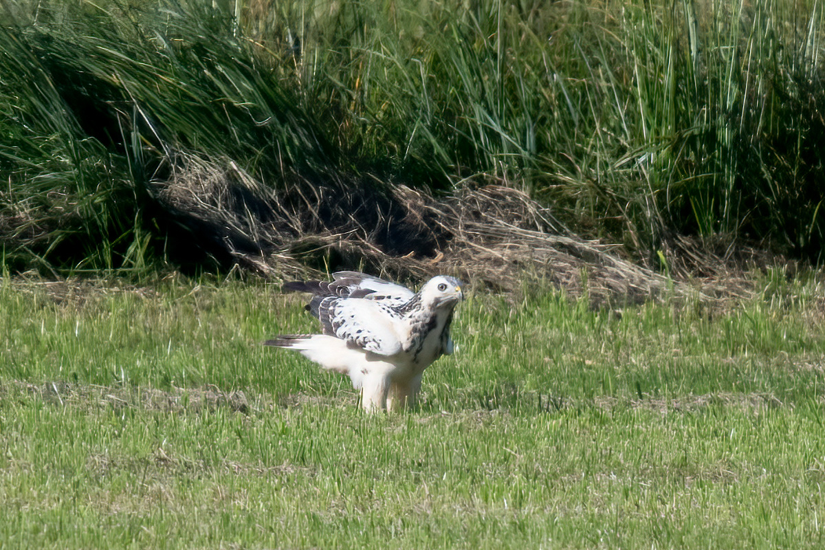 260930-D50_9036-Bearbeitet.jpg