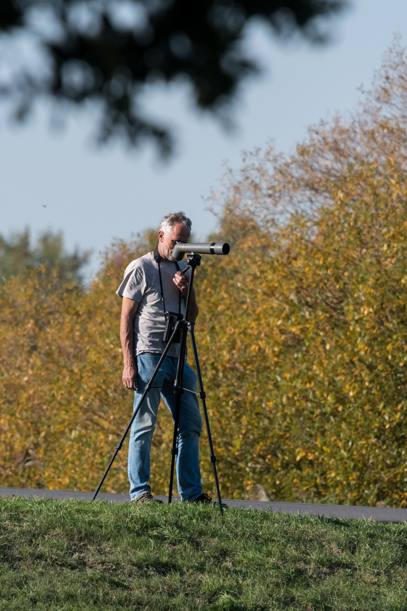 260930-D50_9088-Bearbeitet.jpg