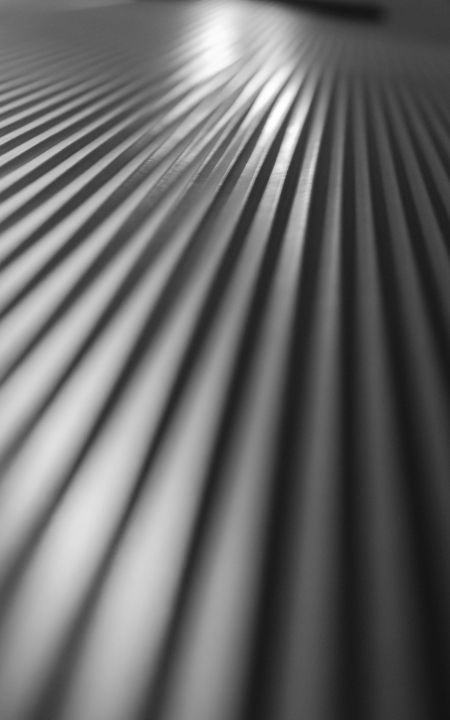 264/365