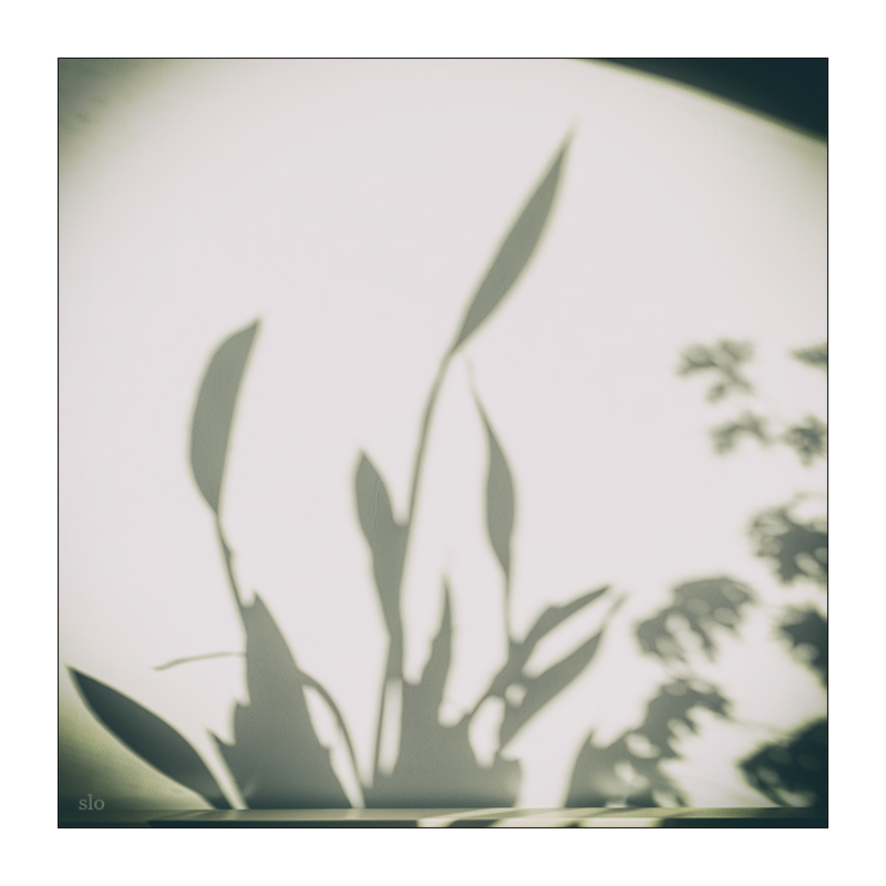 266/365