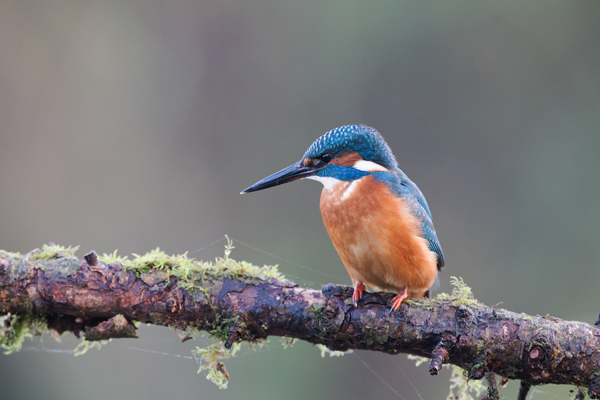 27 560mm f-5.6.jpg