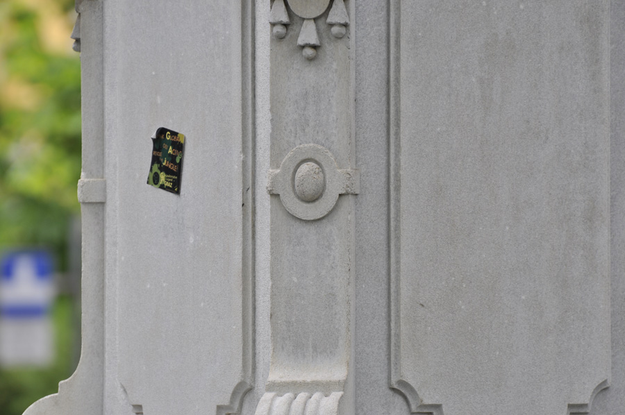 270mm Nikon