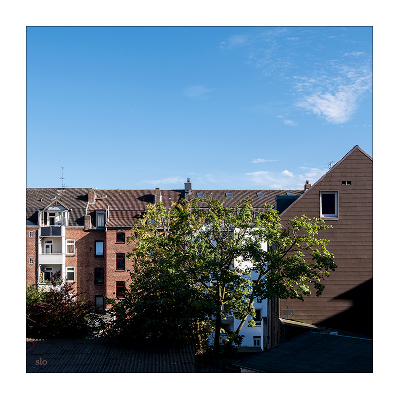 273/365 a-ha – Summer Moved On © 2026 Sabine Lommatzsch