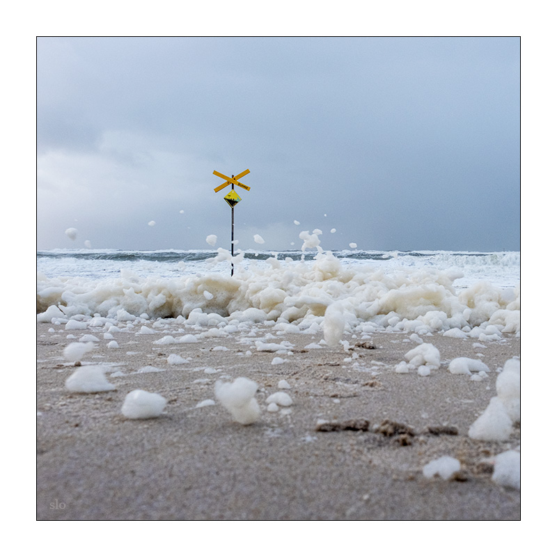 278/365 Billy Joel – Storm Front © 2025 Sabine Lommatzsch
