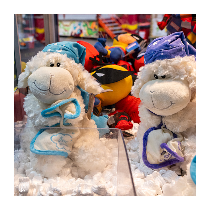 279/365 Kate Bush – And Dream Of Sheep © 2026 Sabine Lommatzsch