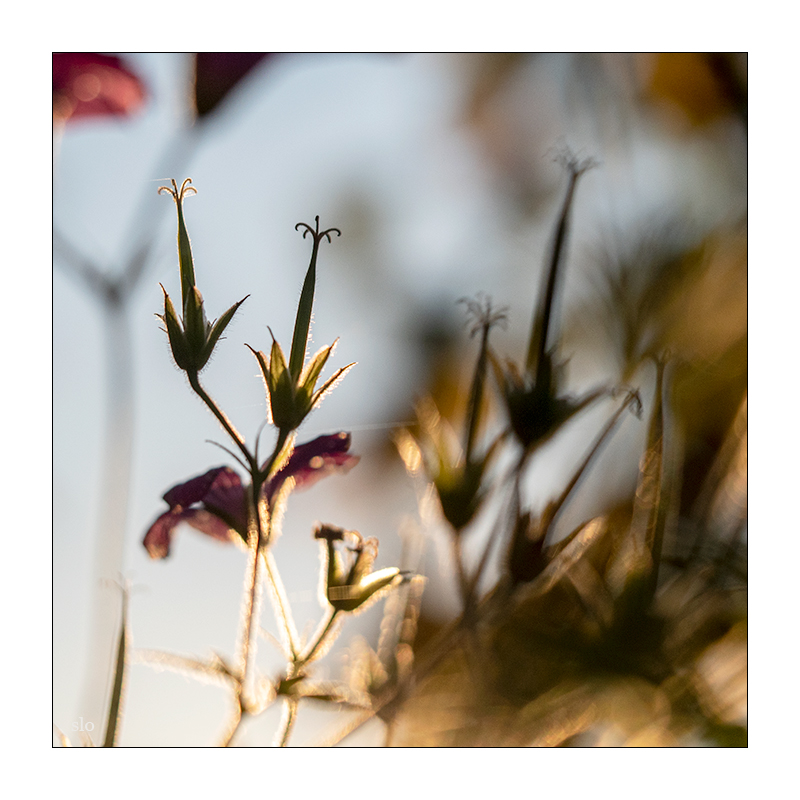 283/365