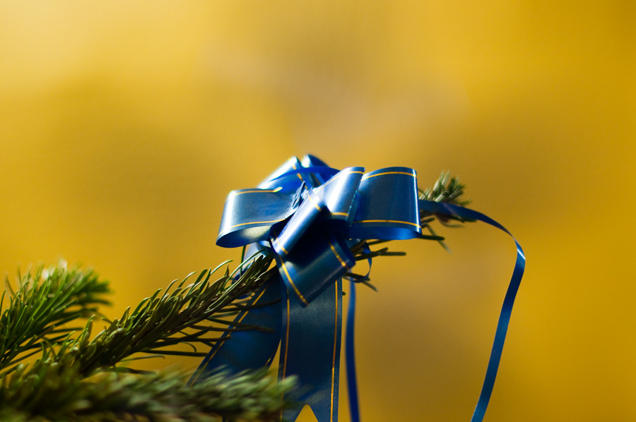 29. Dezember 2009 DSC 0326