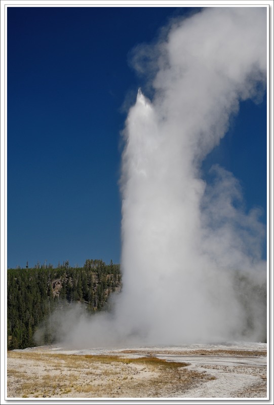 #29 Old Faithful