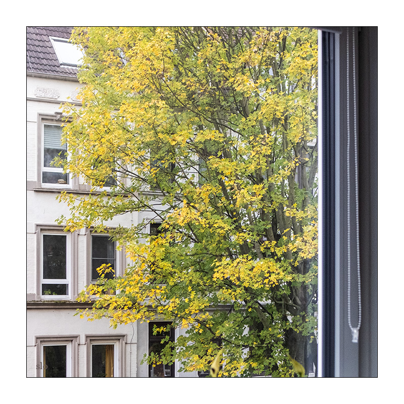 291/365 Nik Kershaw – Wouldn’t It Be Good © 2026 Sabine Lommatzsch