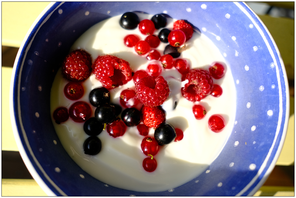 294 In der Bünte – Joghurt mit frisch gepflückten Beeren