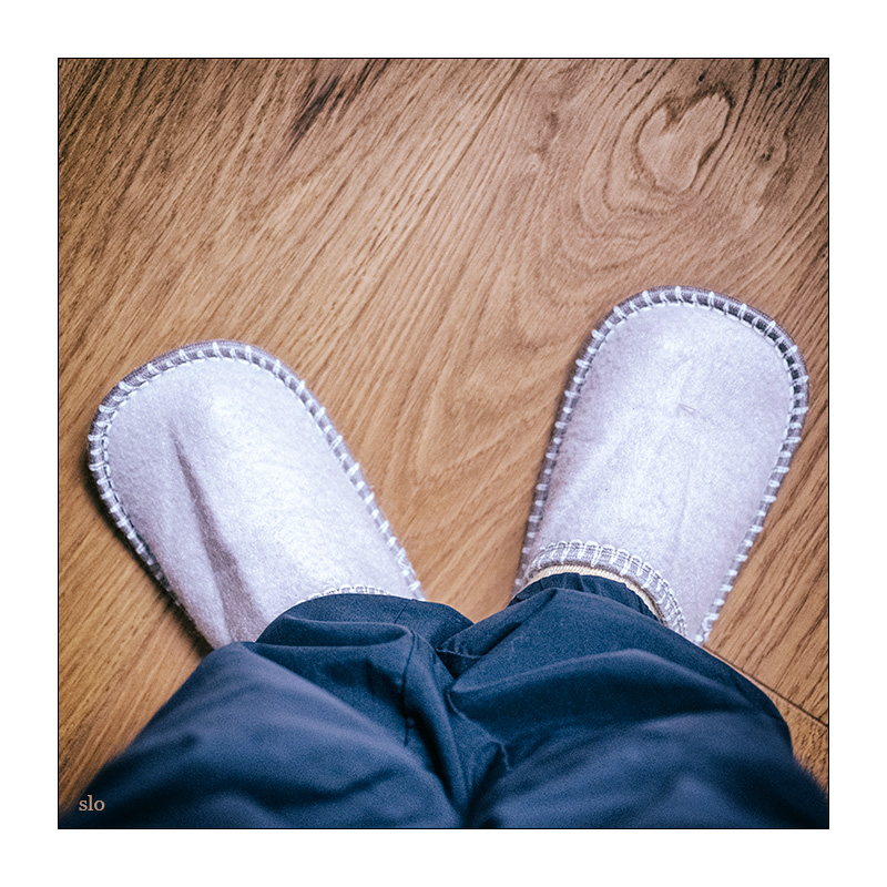 299/365 Angus Stone and Julia Stone – Take Me Home © 2025 Sabine Lommatzsch