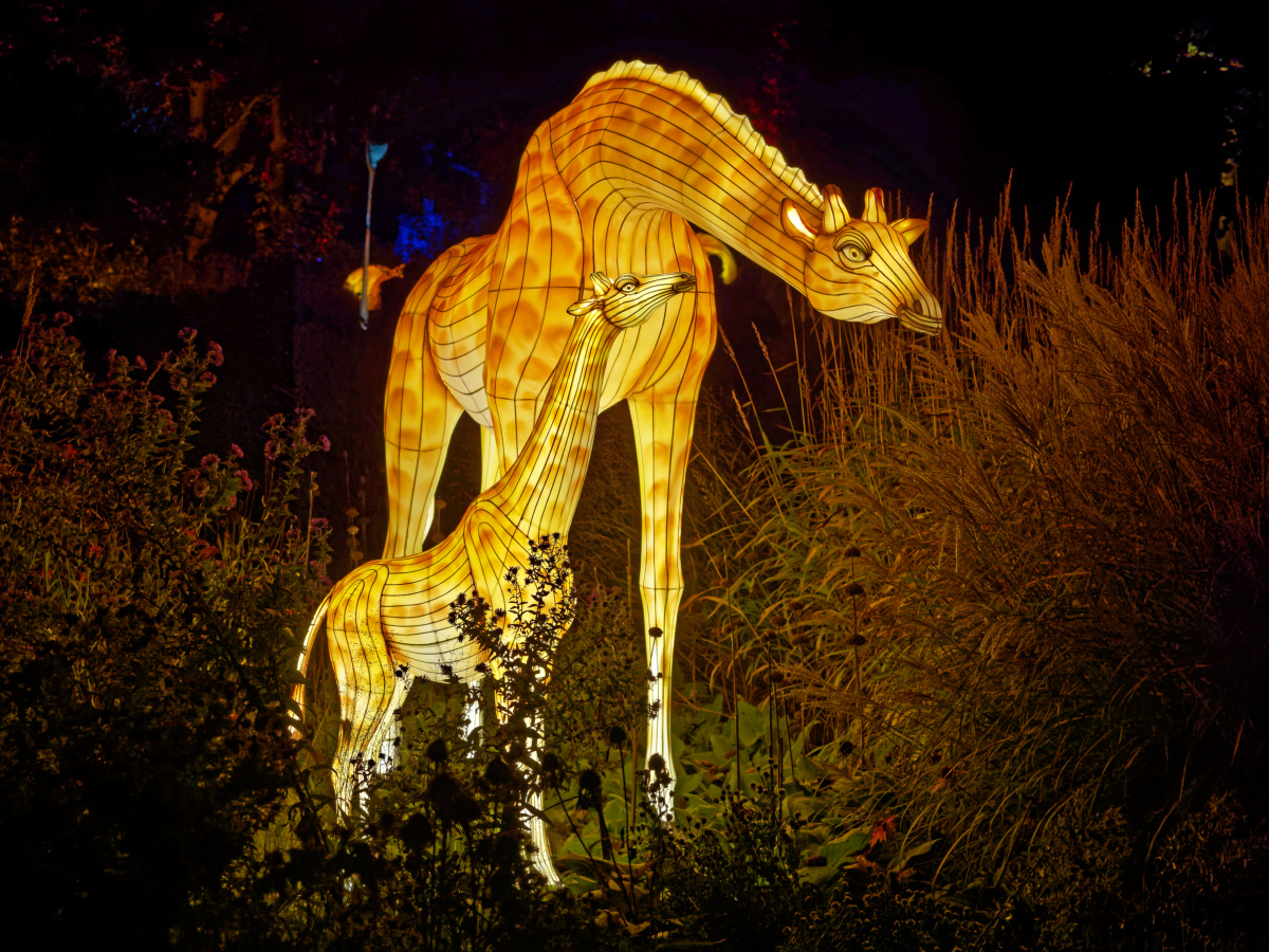 2M150913_DxOxl.jpg