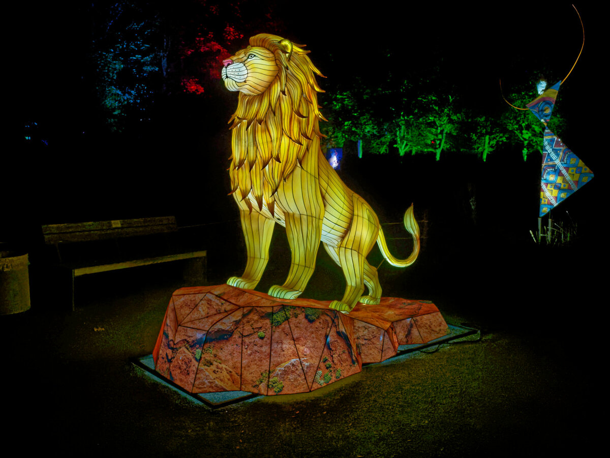 2M150923_DxOxxl.jpg