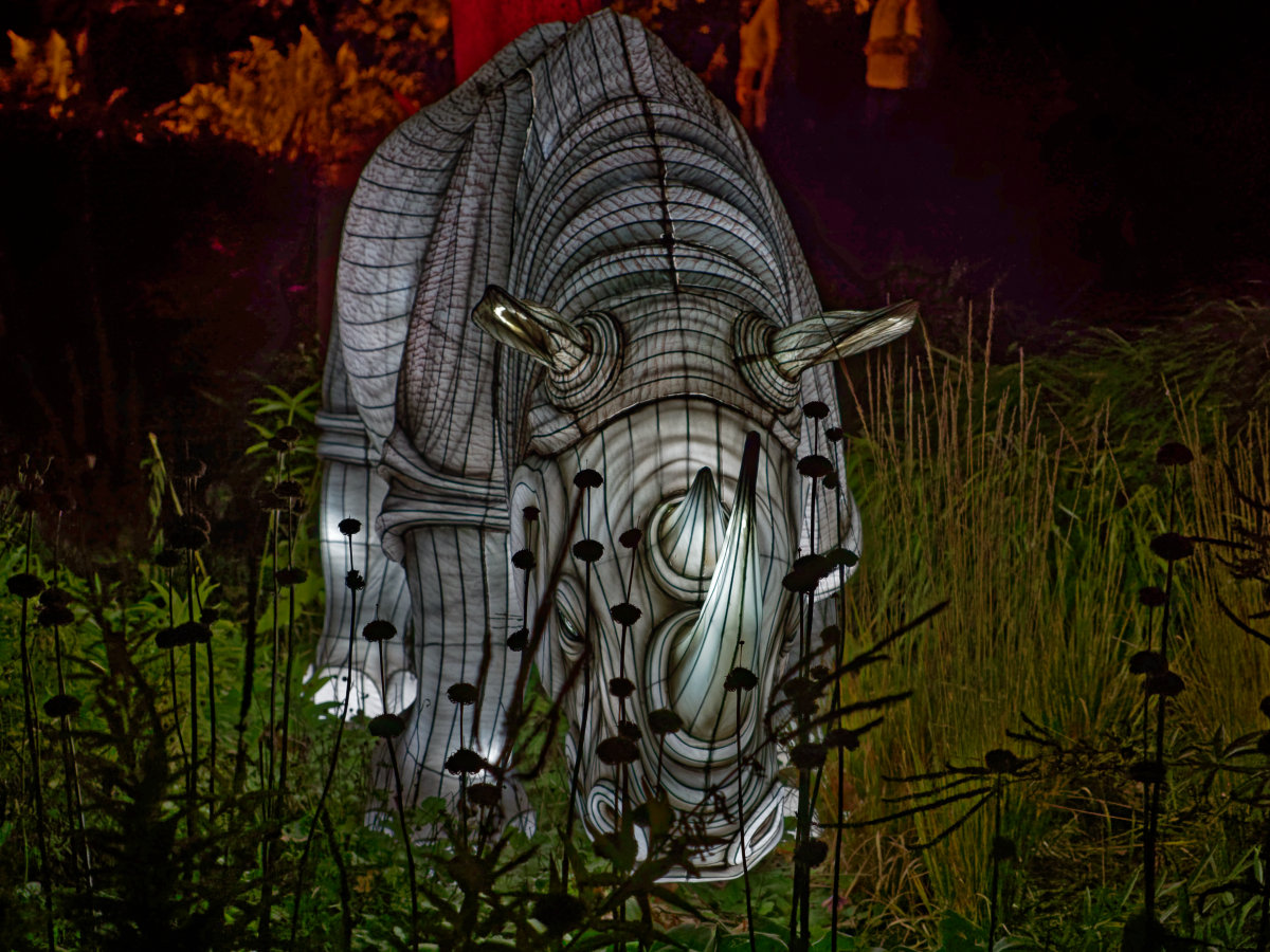 2M150927_DxOAxl.jpg