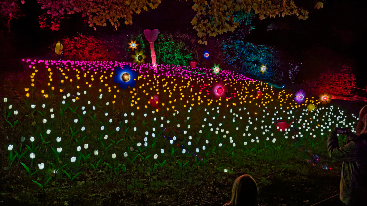 2M150936_DxOPAxl.jpg