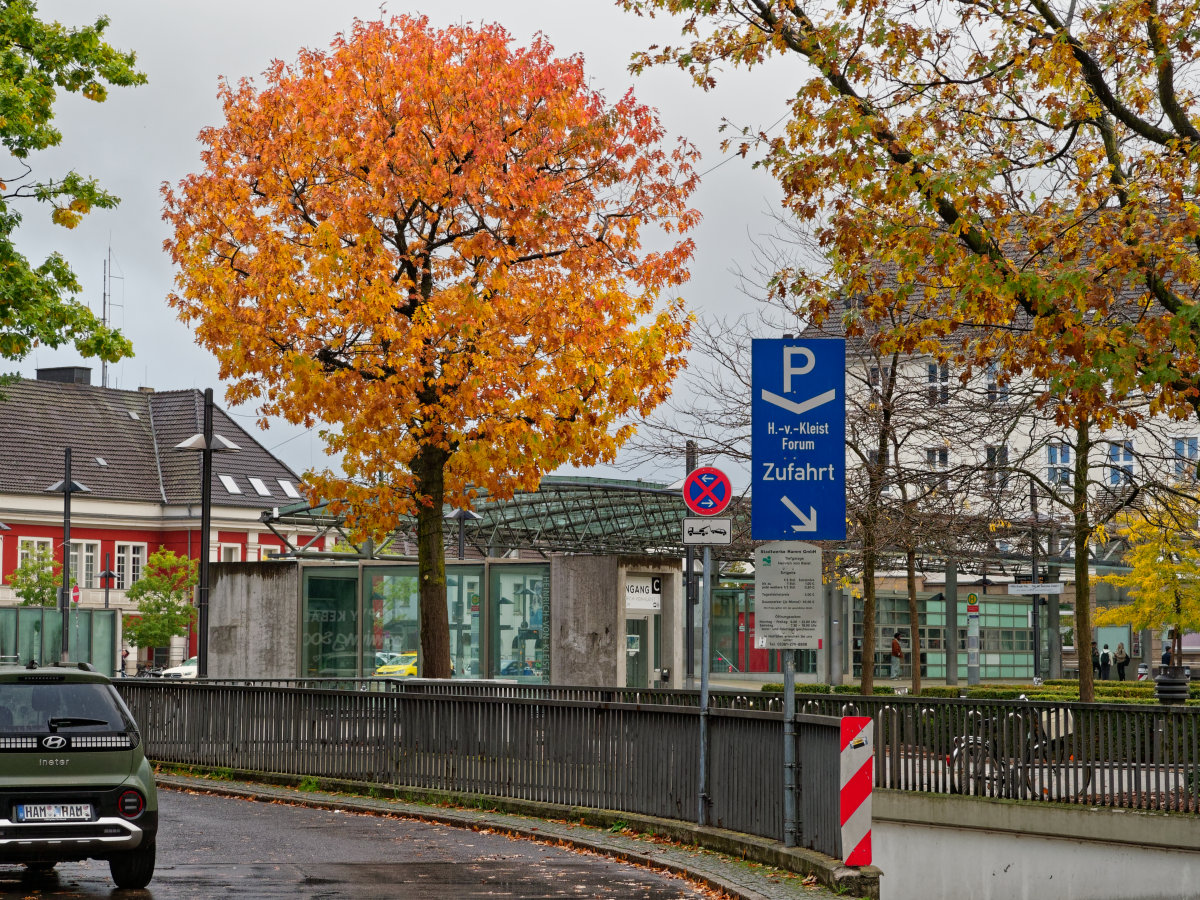 2M171032_DxOxl.jpg