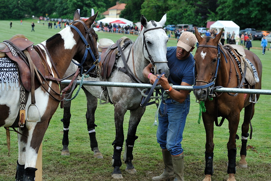 3 20100619 161909 polo wallerstein
