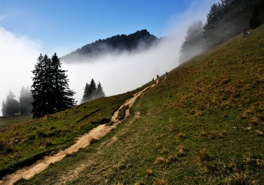 3 comp Steineberg2