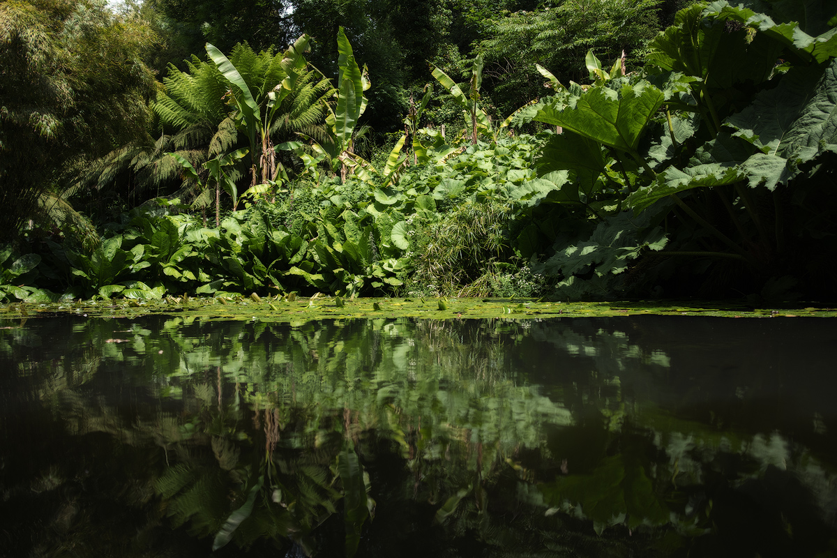 3-Heligan.jpg