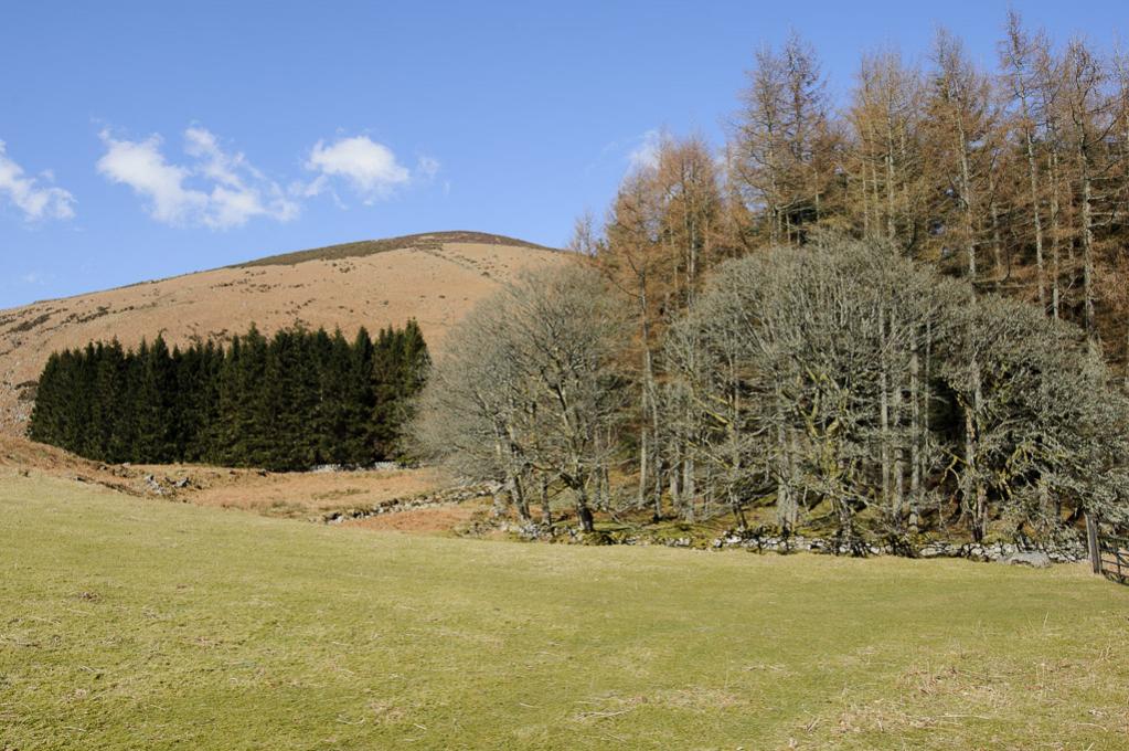 3 Wicklow Mountains - Luggala