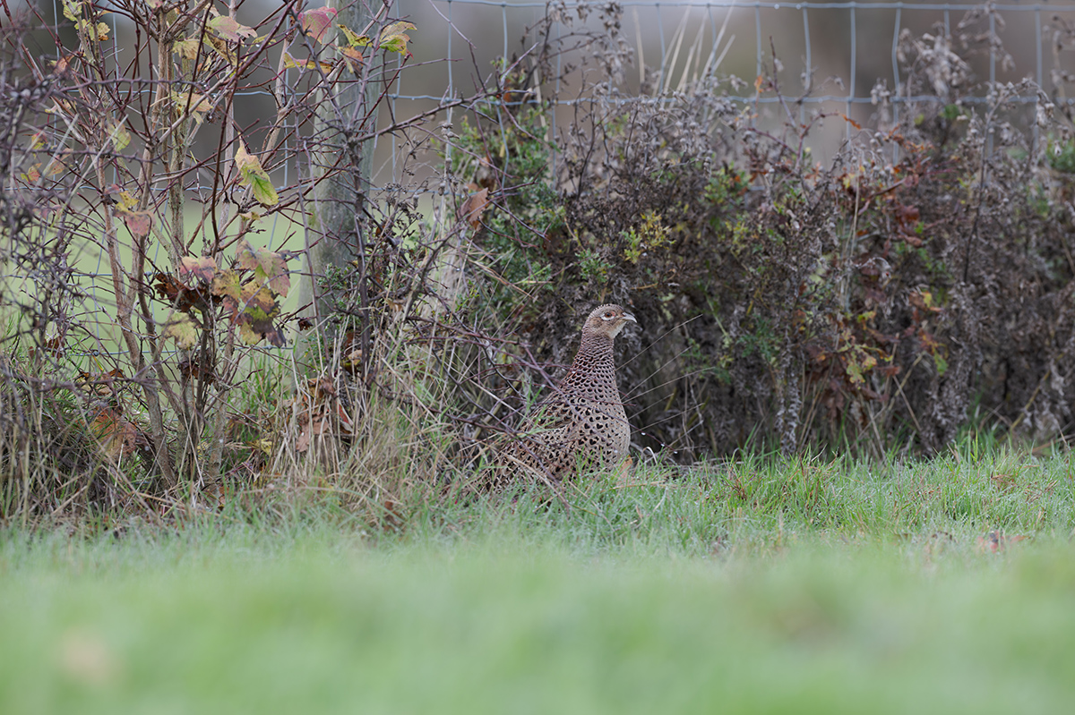 30 400mm f-5.6.jpg
