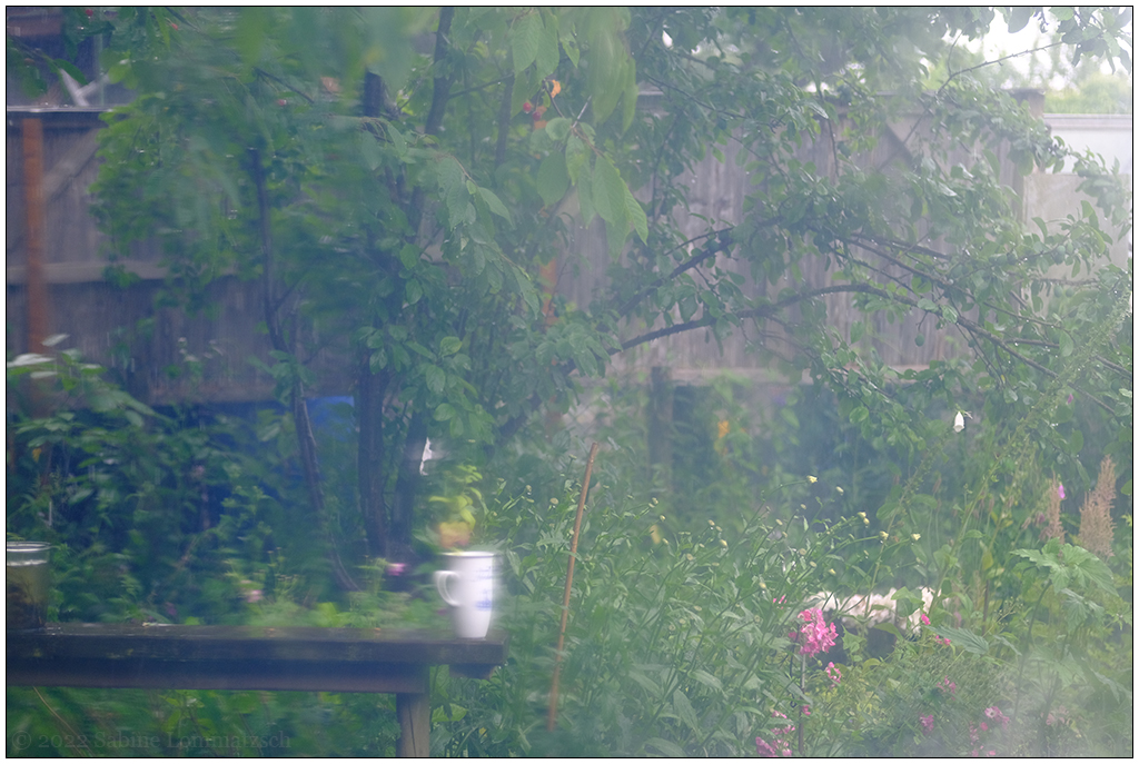 302 In der Bünte – Regensonntag mit neuem Scheibenobjektiv ;-) II