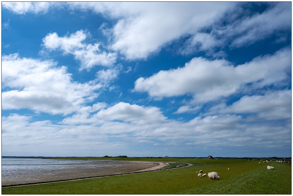 302 Sylt – Nösse-Deich