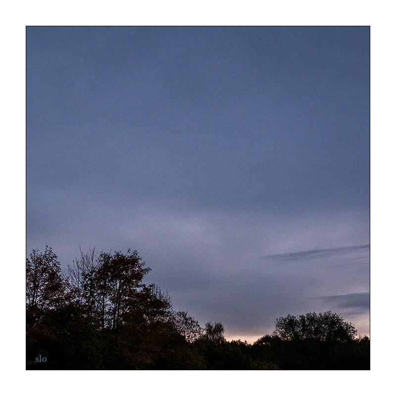 304/365 Anna Calvi + Perfume Genius – I See A Darkness © 2025 Sabine Lommatzsch
