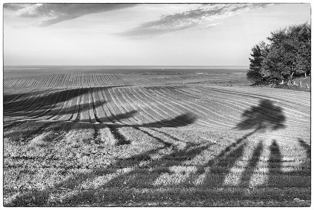 305/365