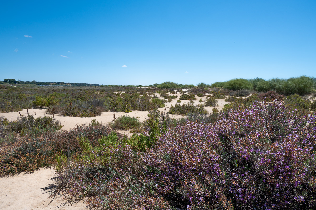 305_20220624-NZ6_0377.jpg