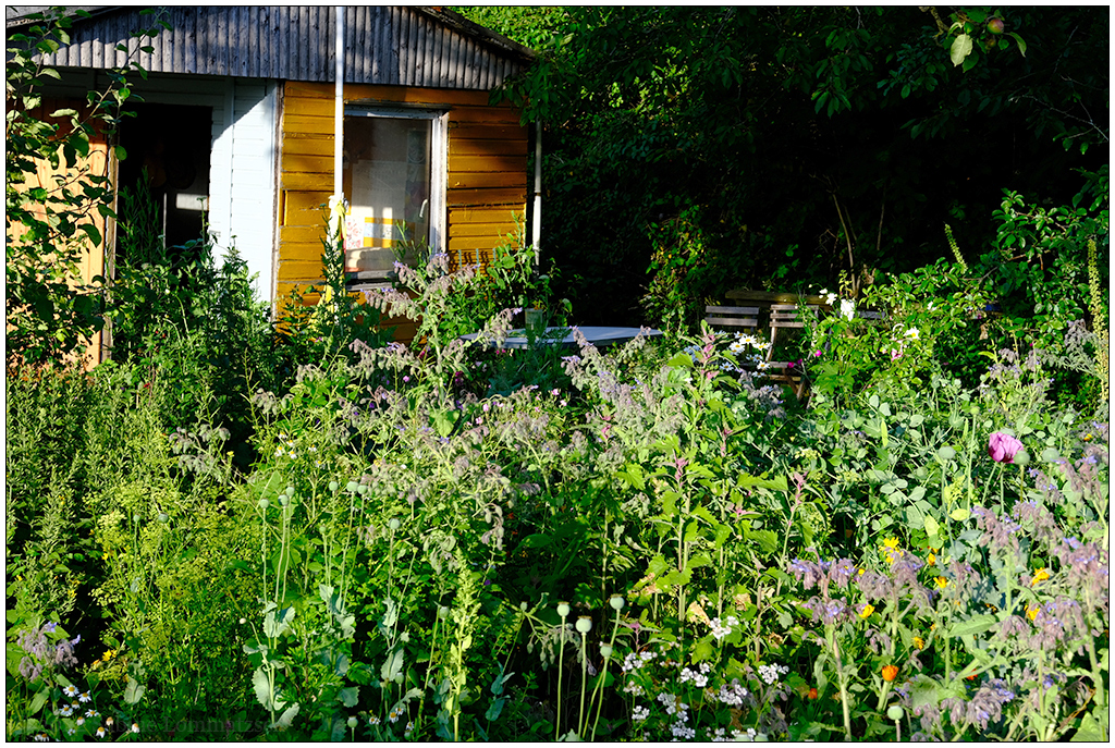 307 In der Bünte – Blumenbeet mit Gartenhütte