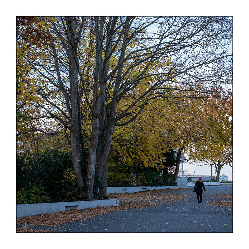 309/365 Brandi Carlile – Church And State © 2025 Sabine Lommatzsch