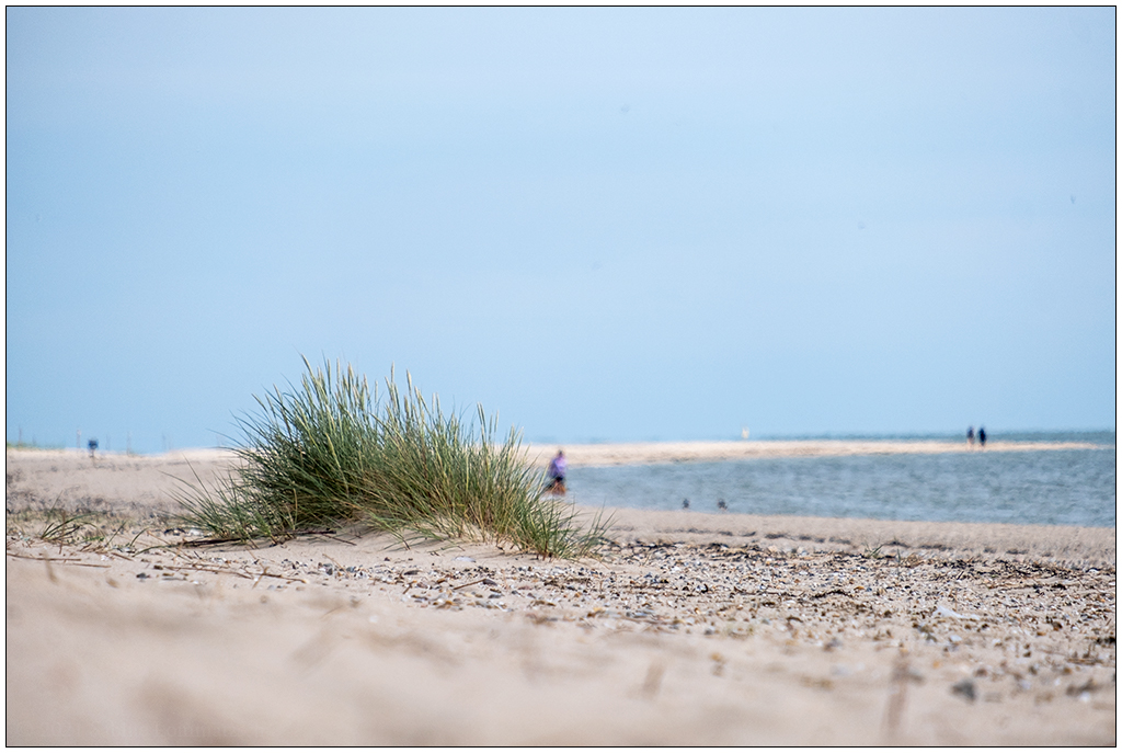 309 Sylt – Ellenbogen: Pause am Strand