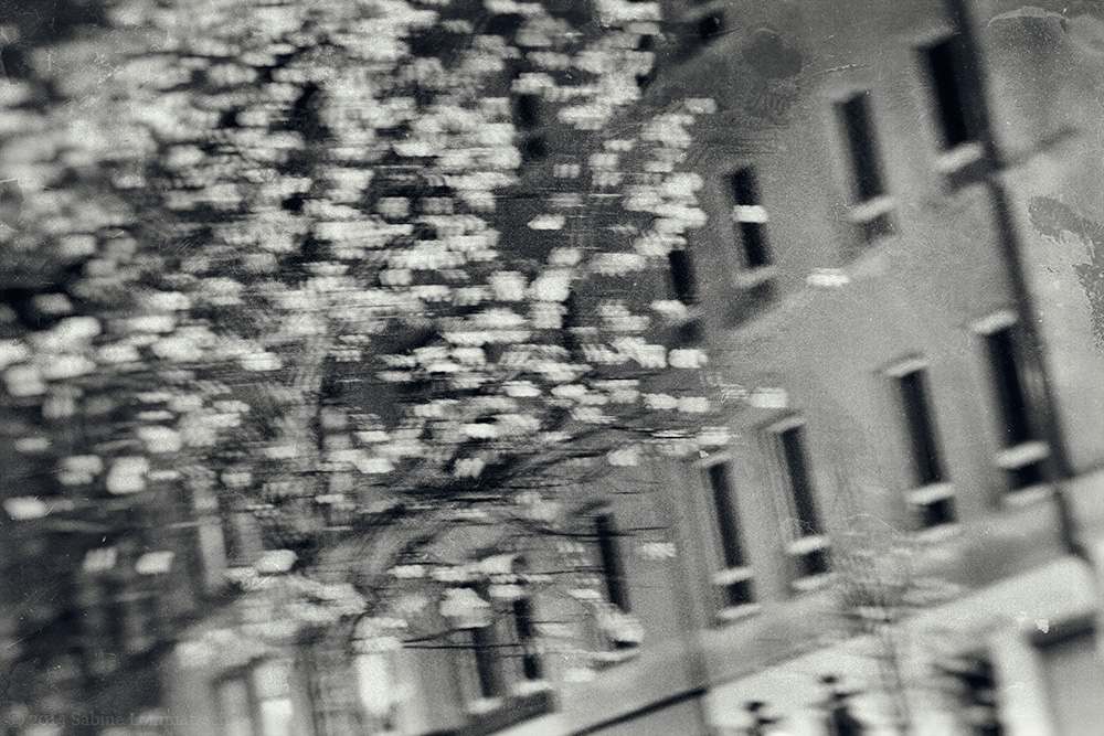 310/365