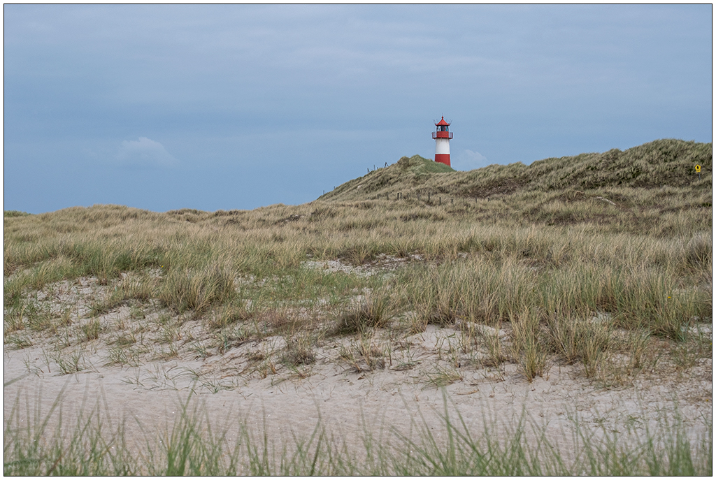 310 Sylt – Ellenbogen: Leuchtturm List Ost hinten in der Dünenlandschaft