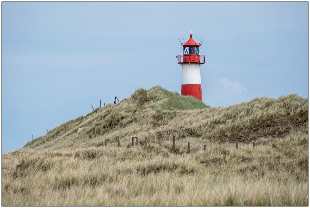 311 Sylt – Ellenbogen: Leuchtturm List Ost in den Dünen